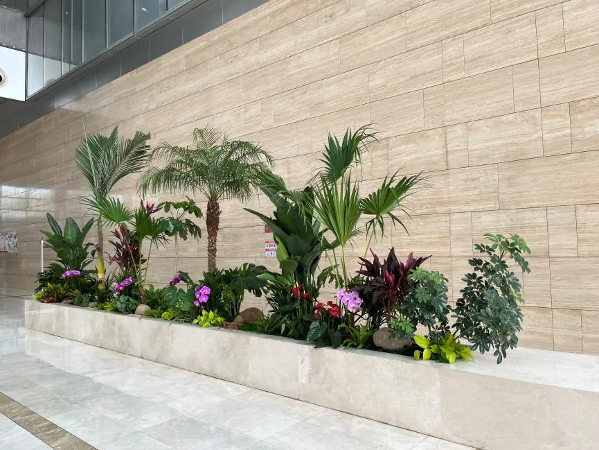 惊了！余姚花木租摆价格实惠到超乎想象！